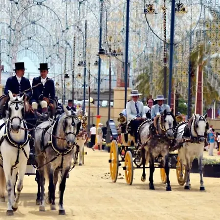 Atico Rianal Сasa de vacaciones Jerez de la Frontera